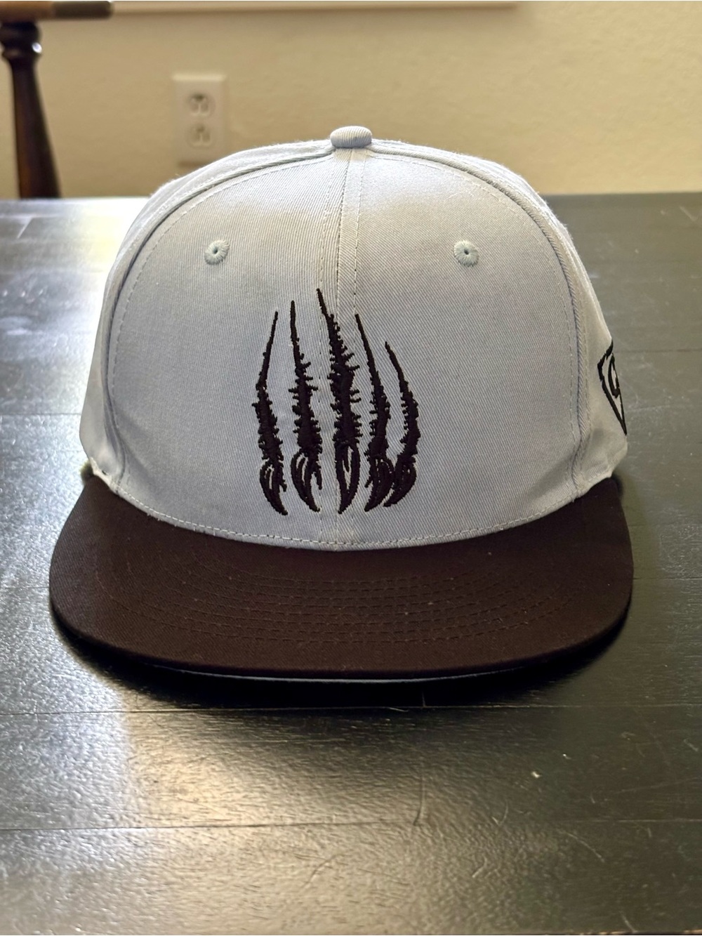 Capiche Polar Bear Snapback Hat Light Blue Color-Changing Embroidered Claw
